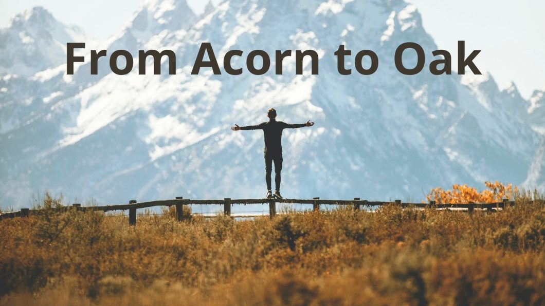 From Acorn to Oak